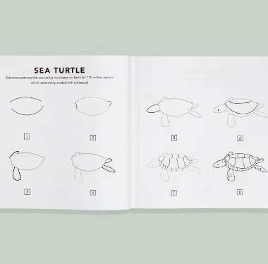 Under the Sea: How to Draw Books for Kids