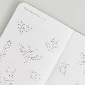 Kids Bug Passport