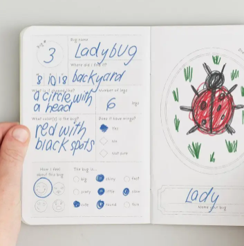 Kids Bug Passport